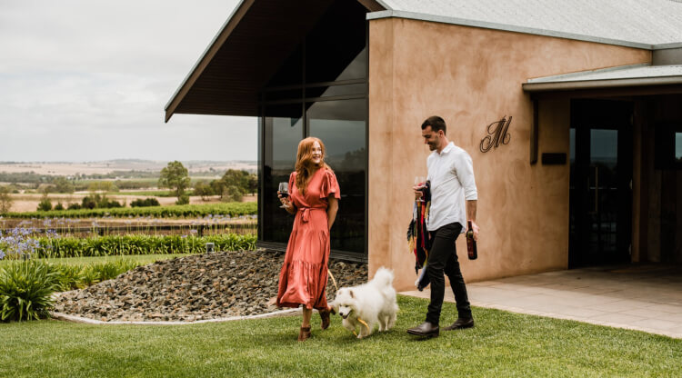 Discover Panoramic Views at Grant Burge Wines